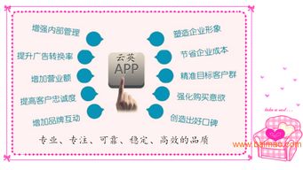 安卓手機應(yīng)用軟件開發(fā)全解析 廠商選擇與價格因素